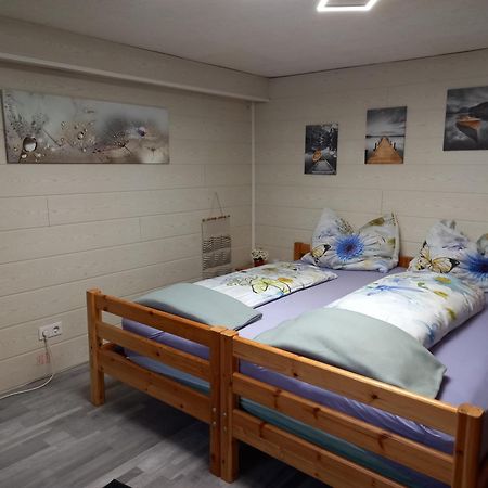 60 M² Ferienapartment Zentrumsnahe Mit Gartenbenutzung Steyr Exterior foto